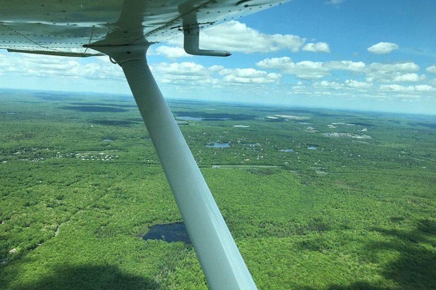 A landscape with a forested area, a body of water, and a clear sky. 3