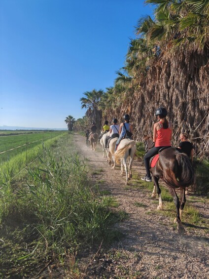 A group of people riding horses along a dirt path with palm trees and fields in the background. 1