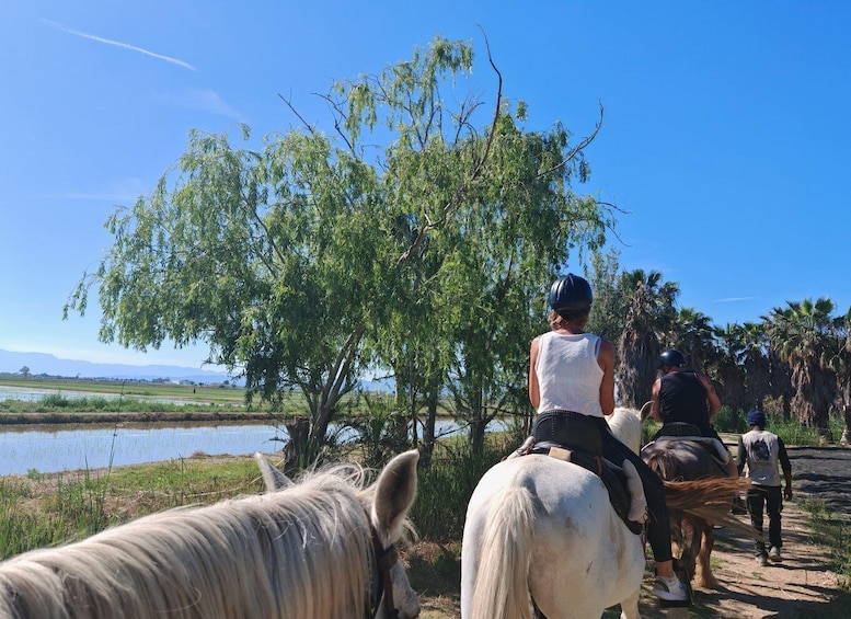 A group of people riding horses along a path with a body of water and trees in the background. 2