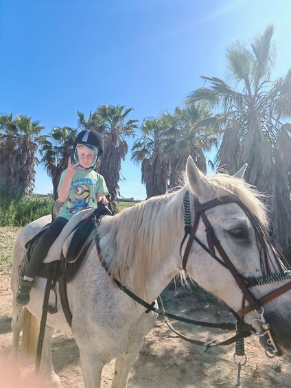 A person riding a white horse with a green saddle, palm trees in the background, and a clear sky. 4