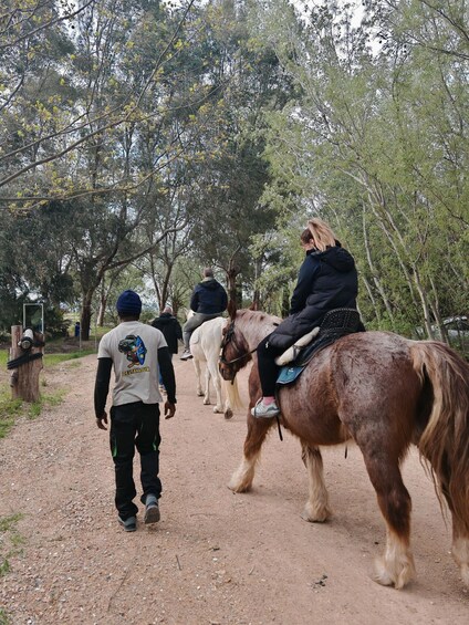 A group of people riding horses on a dirt path surrounded by trees. 3