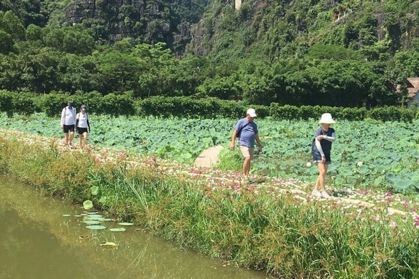 Ninh Binh Full-Day Small Group of 9 Guided Tour from Hanoi 5