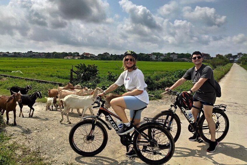 Dos personas en bicicleta, un sendero de tierra y una cabaña de cabras. 4