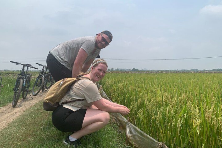 Ninh Binh Full-Day Small Group of 9 Guided Tour from Hanoi 4