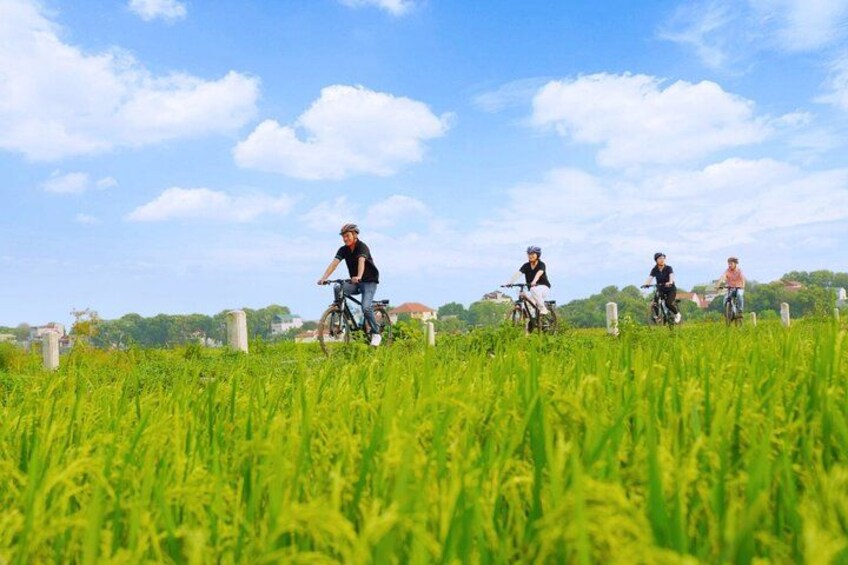 Tre cyklister cykler gennem et mark under en klar himmel. 2