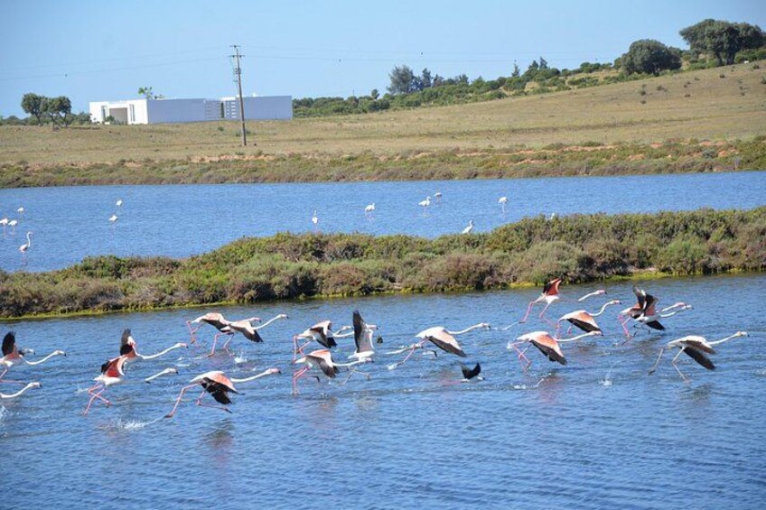 Natural Reserve 2