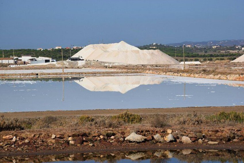 Half-Day Nature Safari in the Algarve 2