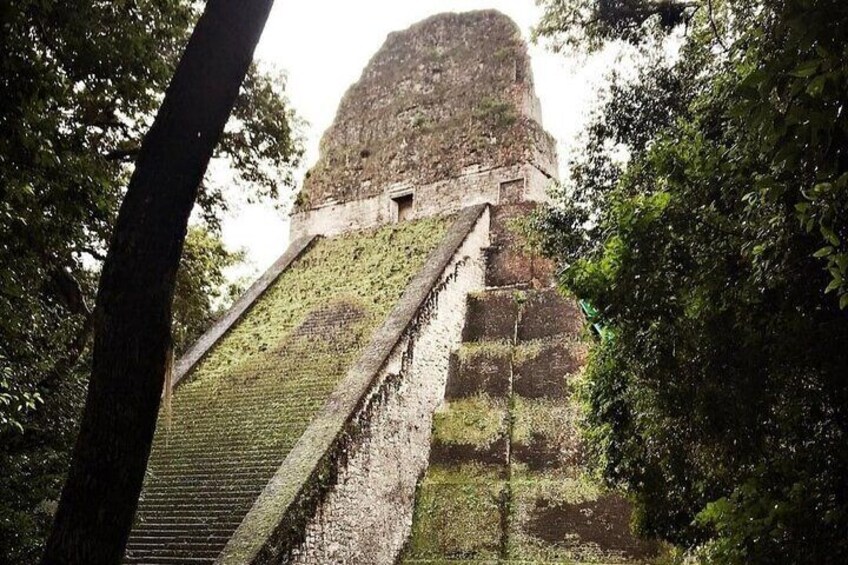 A stone staircase leading up to a large, ancient pyramid-like structure surrounded by dense greenery. 1