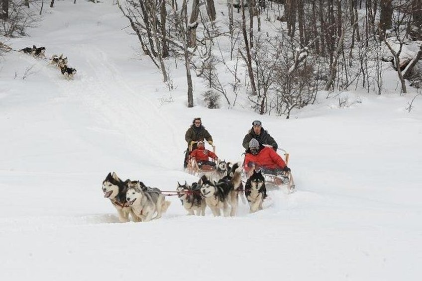 A group of sled dogs pulling a sled with two riders in a snowy landscape. 2