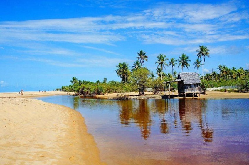 A beach with a hut, palm trees, and calm water. 4