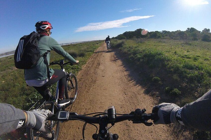 Electric Bicycle Tour through the Natural Parks of Torrevieja 1