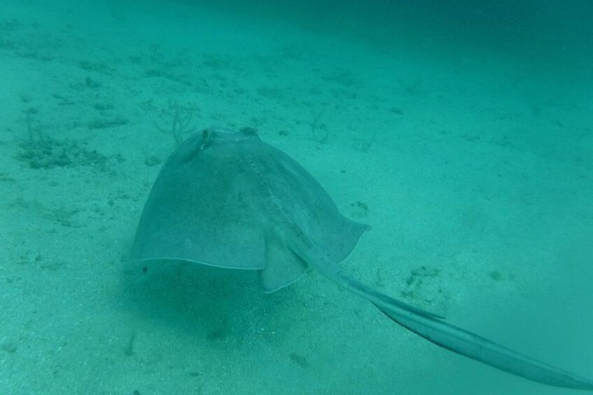 Private Day Sail & Snorkel with Virgin Islands Day Sailing, 6 guest max 3