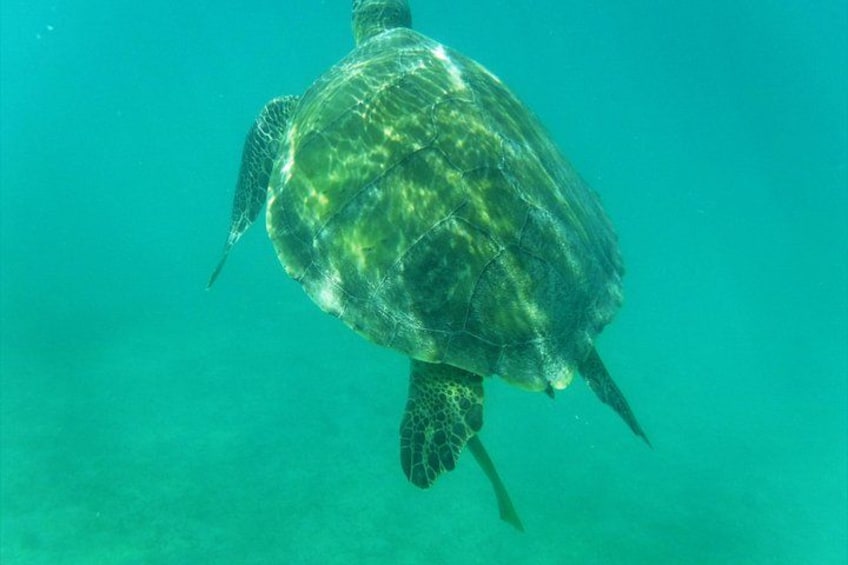 Private Day Sail & Snorkel with Virgin Islands Day Sailing, 6 guest max 3