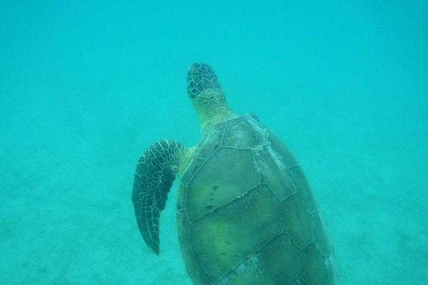 Private Day Sail & Snorkel with Virgin Islands Day Sailing, 6 guest max 2