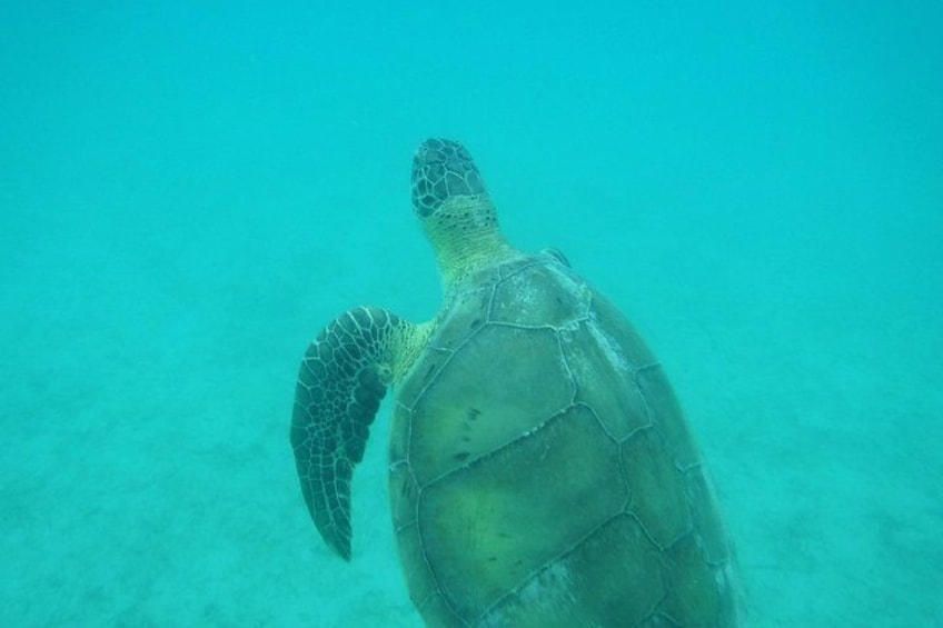 Private Day Sail & Snorkel with Virgin Islands Day Sailing, 6 guest max 2
