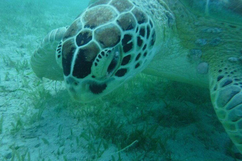 Private Day Sail & Snorkel with Virgin Islands Day Sailing, 6 guest max 1