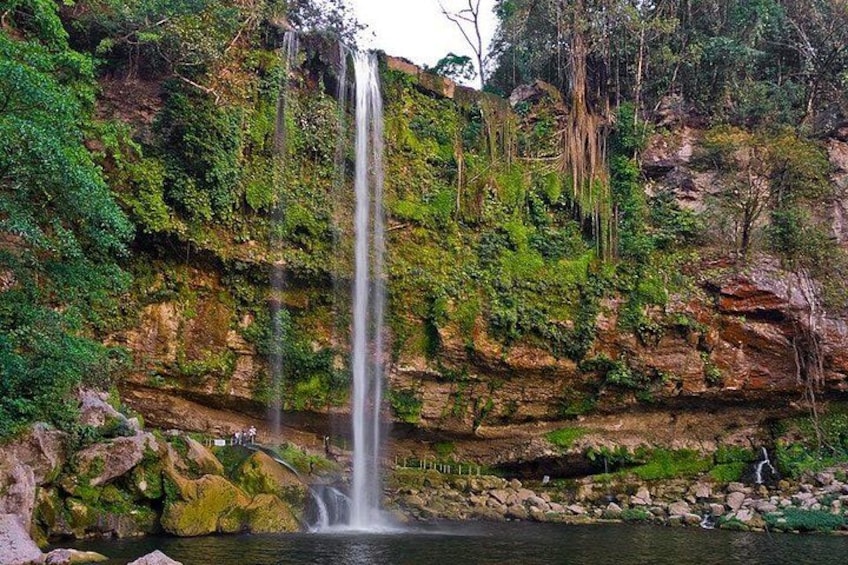 A waterfall cascading down a rocky cliff surrounded by lush greenery. 4