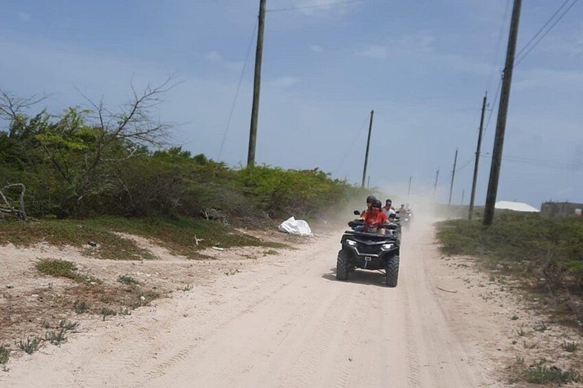 Hitting the trails! 3