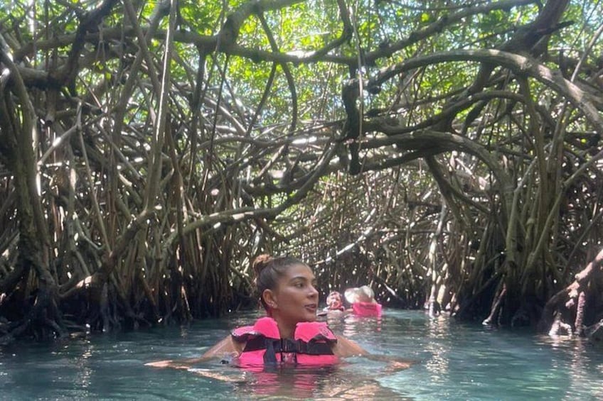 Una persona en un bosque de manglares, con raíces densas y agua. 2