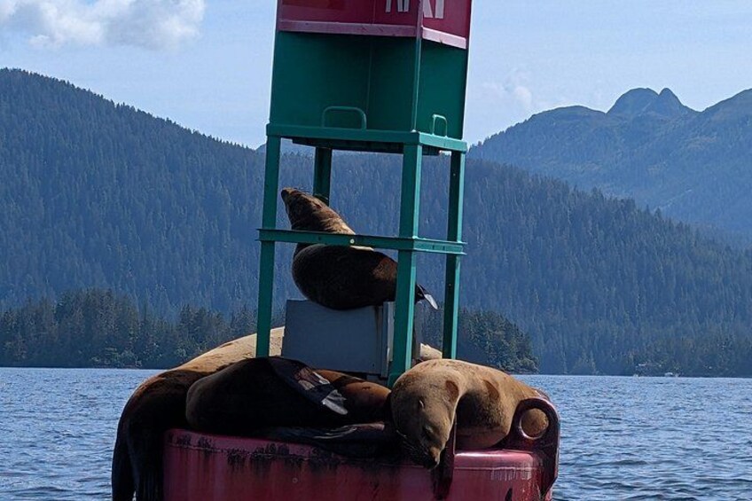 A boat with a green and red structure, a bear, and a mountainous landscape in the background. 2