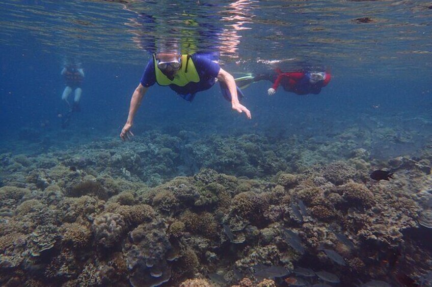 Amazing Anilao Snorkel Safari (with transfers from Manila) updated 2022