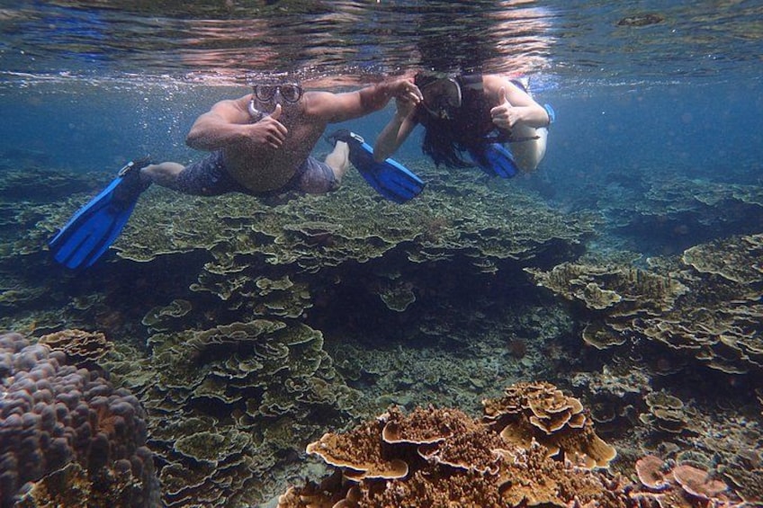 Two people snorkeling underwater with coral reefs in the background. 2