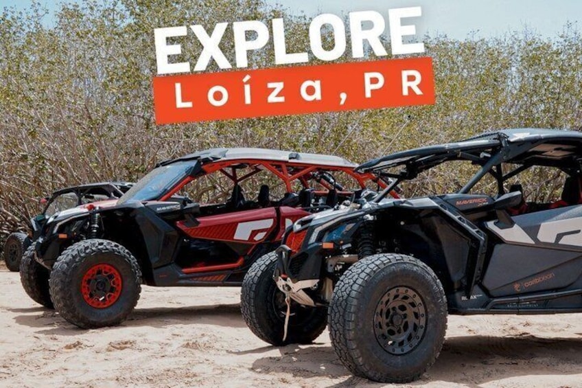 Drive a UTV Can-Am on a Beach Tour in San Juan Puerto Rico 2