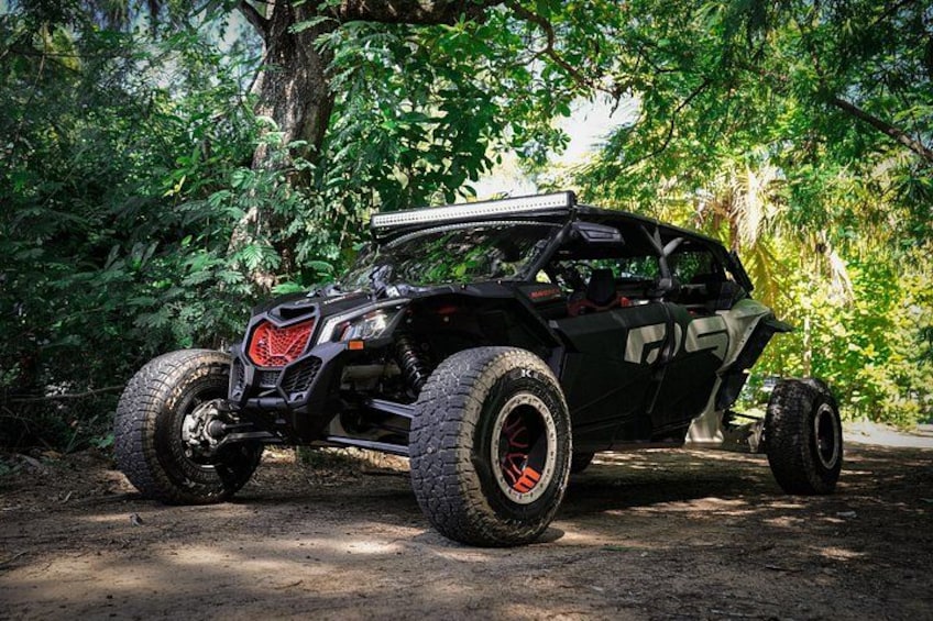 Drive a Can-Am UTV on a Beach Tour in San Juan Puerto Rico 5