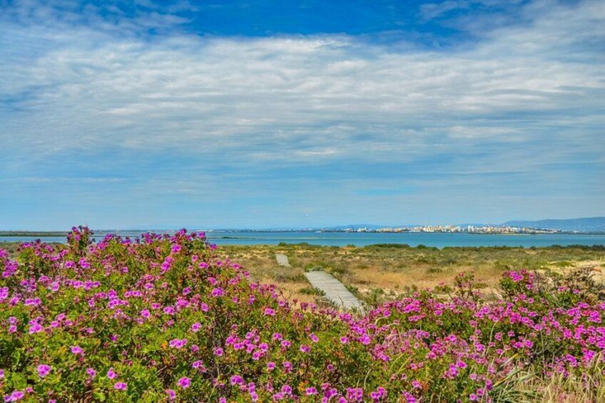 Boardwalk and landscape in Ilha Deserta 2