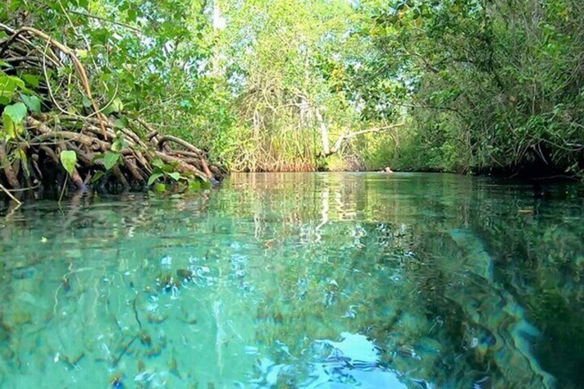 Playa Rincon Safari Adventure from Samaná special for cruise ships