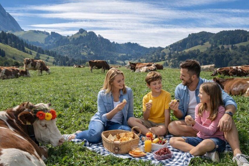 En familjepicknick på en gräsklädd äng med kor i bakgrunden och berg i fjärran. 5