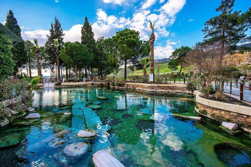 Una piscina trasparente circondata da alberi e una struttura in pietra. 3