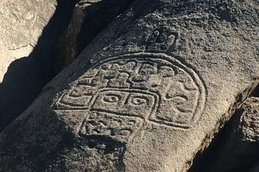 Shaman Molle 1