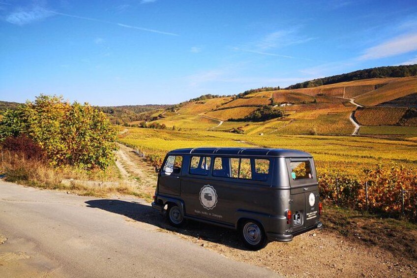 Marie, our vintage van from 1980 in autumn. 2