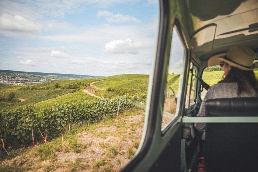 A vineyard landscape through a vehicle window. 3