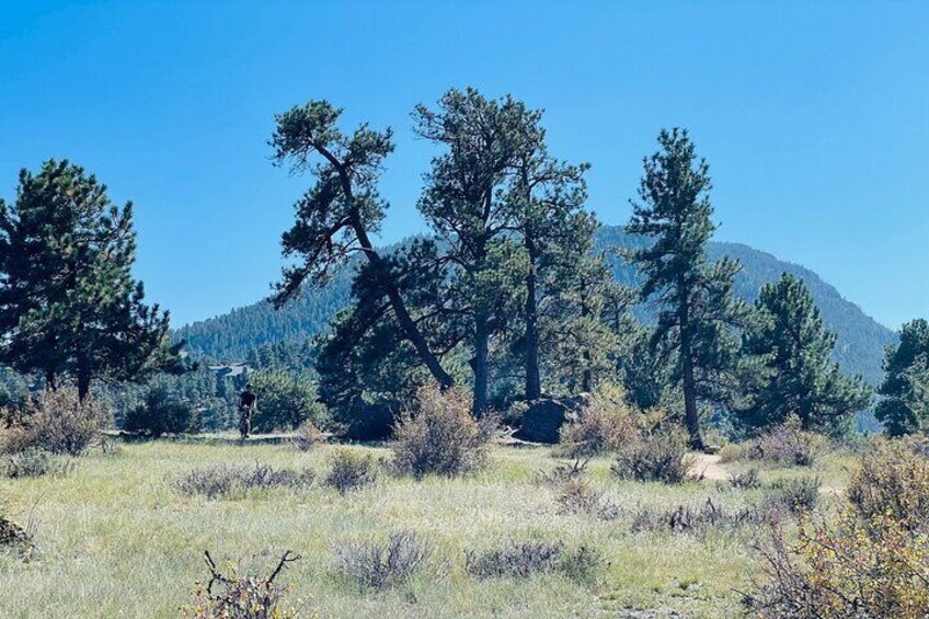 See some of the majestic natural beauty of Estes Park.