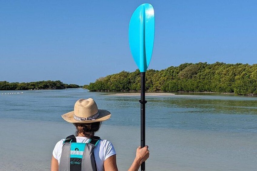 Kayak Merida 2