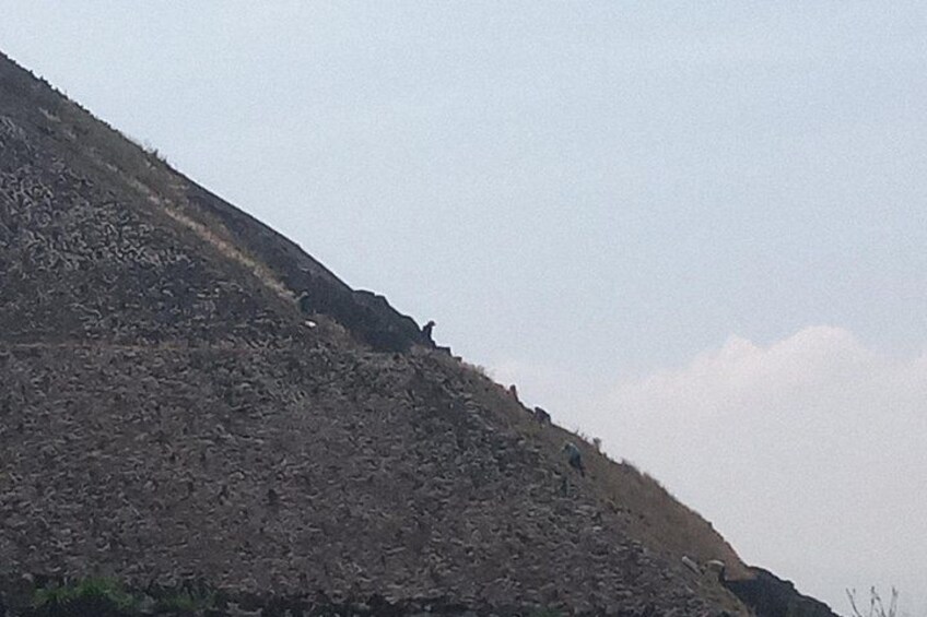 A rocky hillside with sparse vegetation. 5
