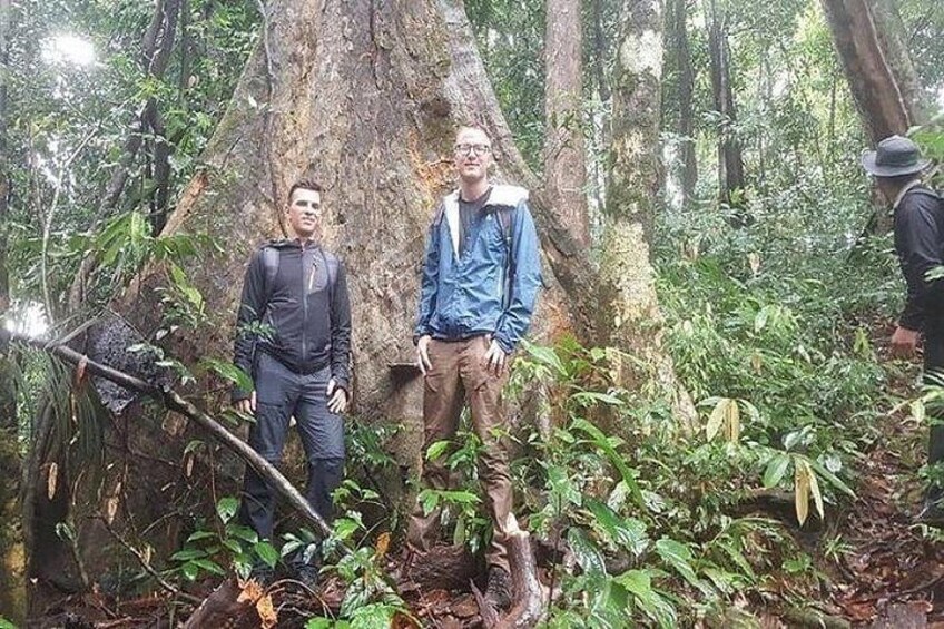 Khao Sok National Park Trekking and Bamboo Rafting from Khao Lak 3