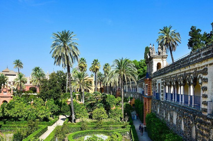Un jardín con palmeras, un camino y un edificio con balcón. 3