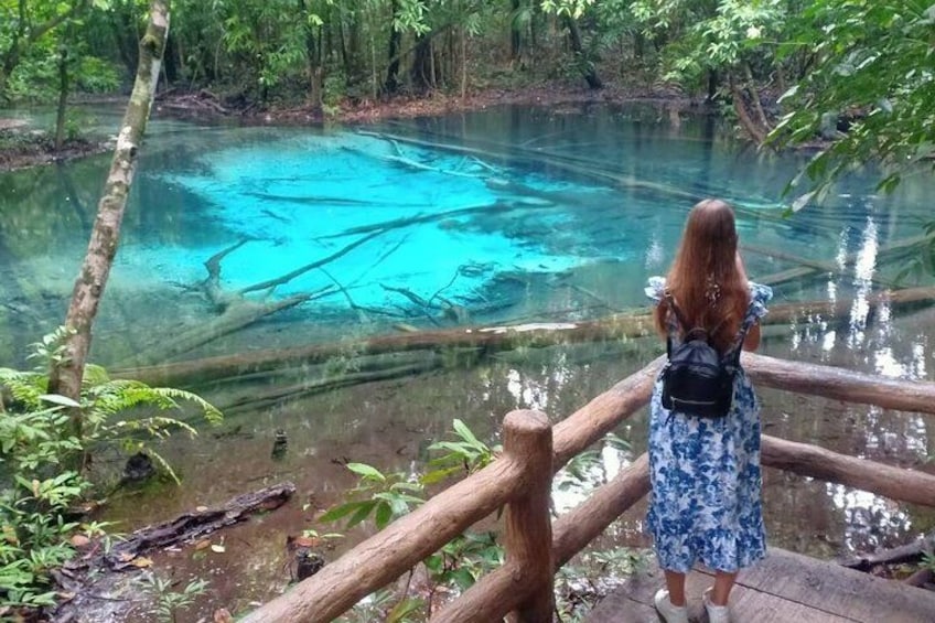 Emerald Pool, Krabi 5