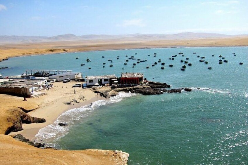 From Huacachina or Ica : Ballestas Islands + Paracas (Round Trip) 2