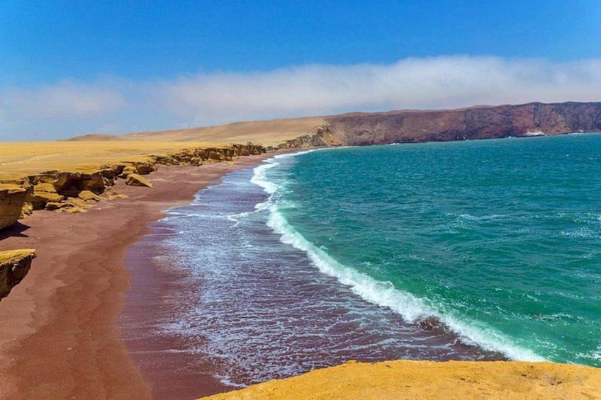 From Huacachina or Ica : Ballestas Islands + Paracas (Round Trip) 4