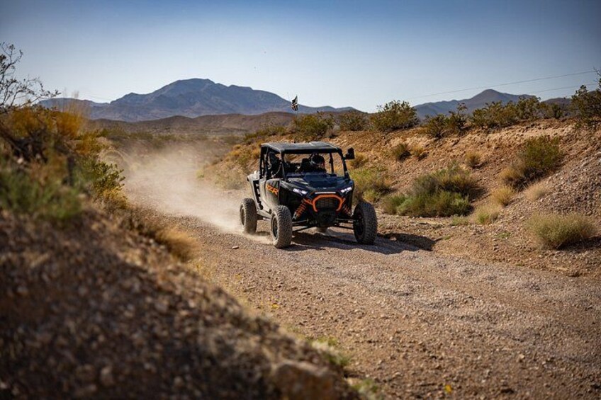 Las Vegas Mini Desert RZR Adventure 5
