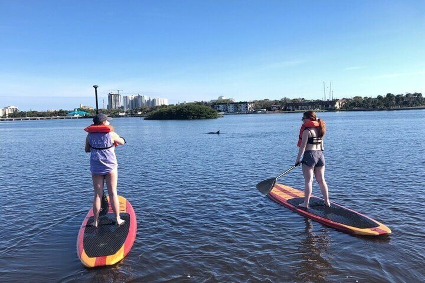 Two people paddleboarding on a calm river with a cityscape in the background. 3