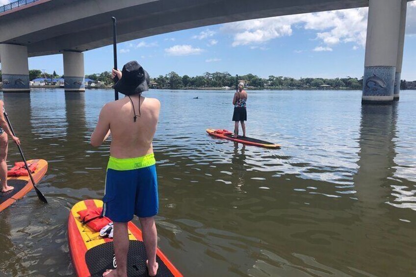 People paddleboarding under a bridge over a body of water. 5
