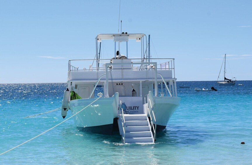 Picture 2 for Activity Barbados: Carlisle Bay Beach Day and Turtle Swim Experience 2