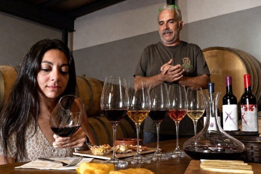Malaga Organic Vineyard & Winery: 6 Wines, 2 Oils & Transfer 1