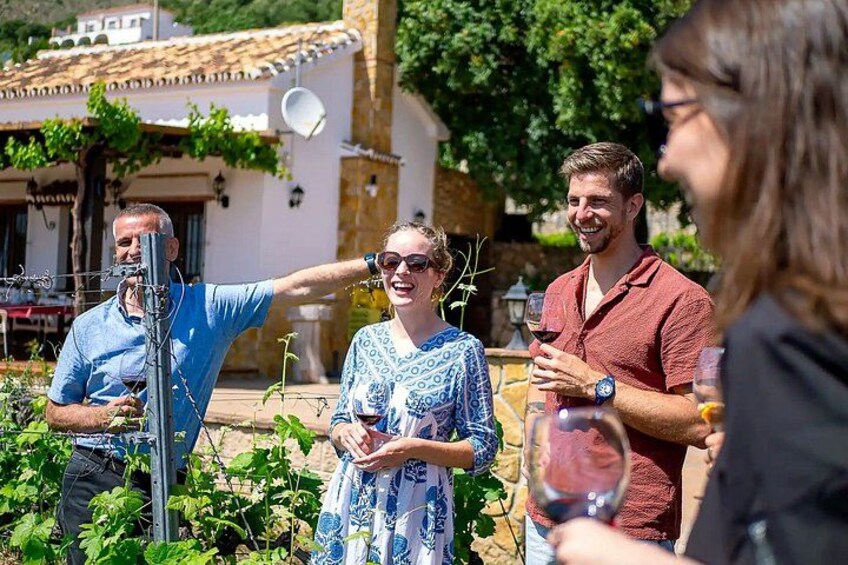 Malaga Organic Vineyard & Winery: 6 Wines, 2 Oils & Transfer 3