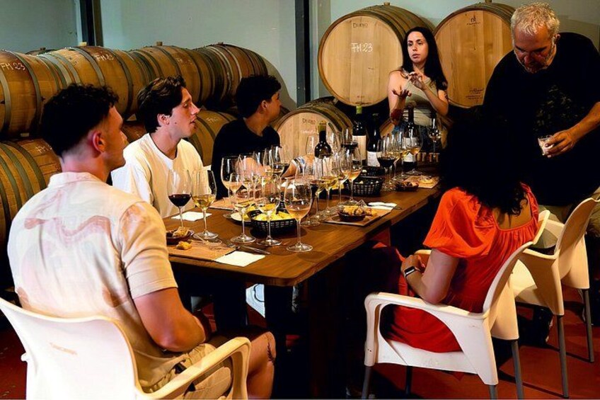 Malaga Organic Vineyard & Winery: 6 Wines, 2 Oils & Transfer 4